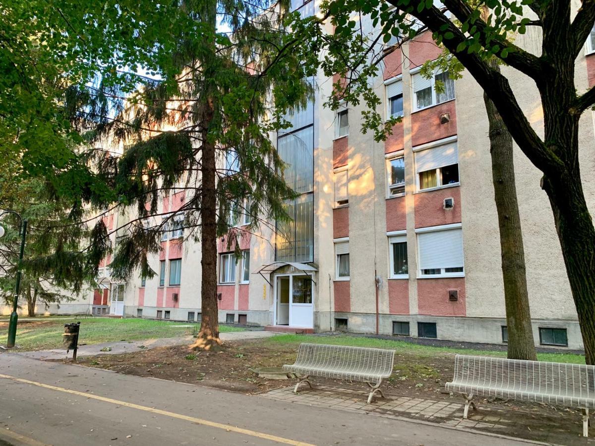 Anita Apartman Hajduszoboszlo Bagian luar foto